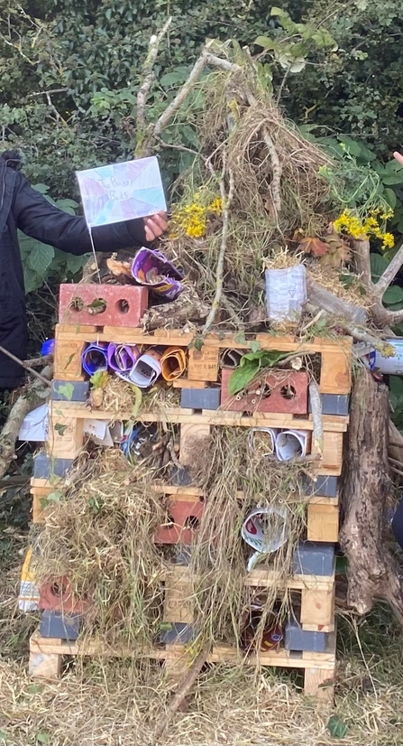 Bug hotel